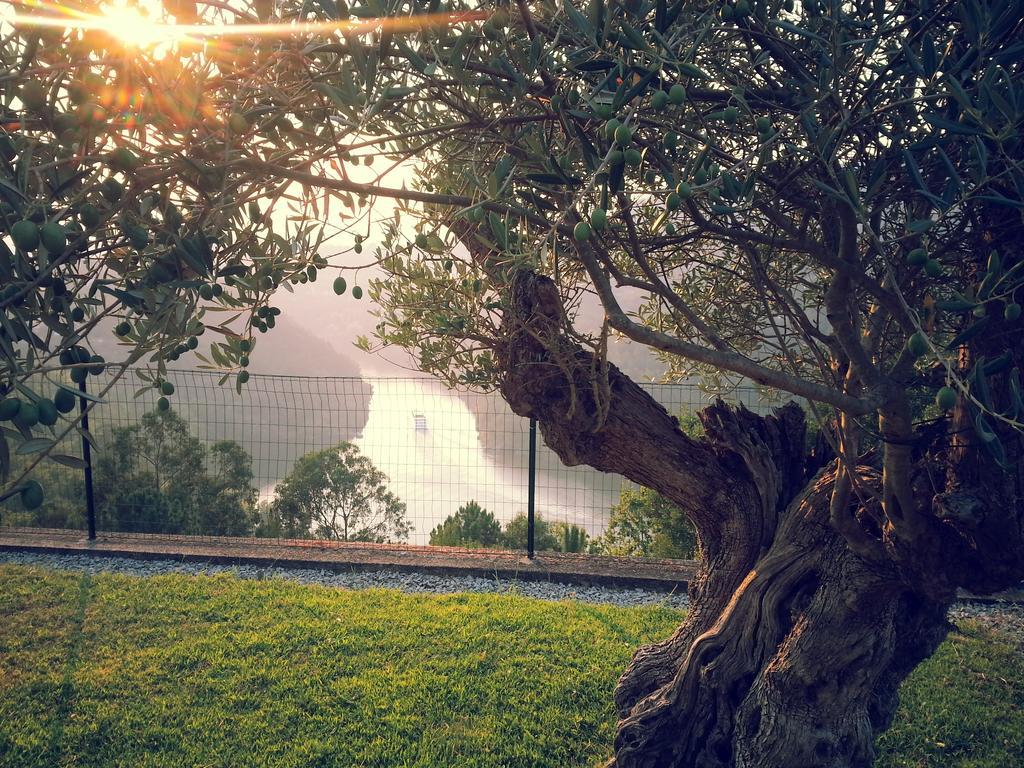 Quinta Das Tilias Douro Valley Cabaca 外观 照片
